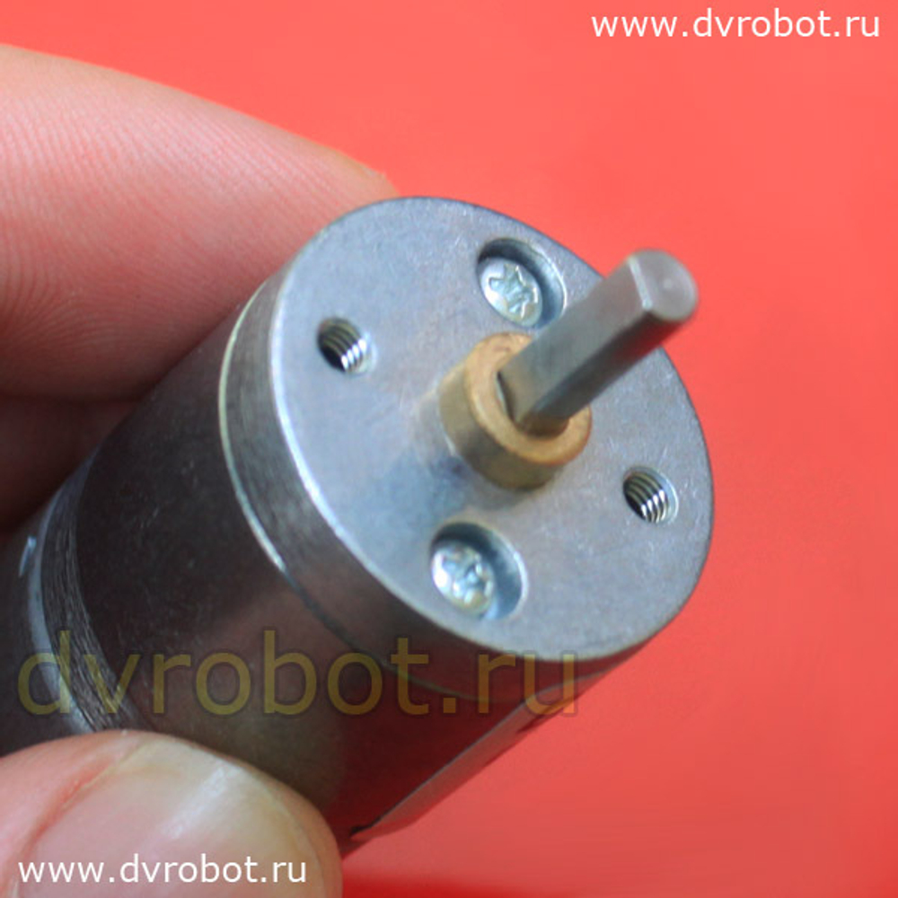 Мотор-редуктор GA25Y370/12V/175