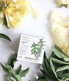 Crushed Mint, свеча The Seeds, Kobo Candles