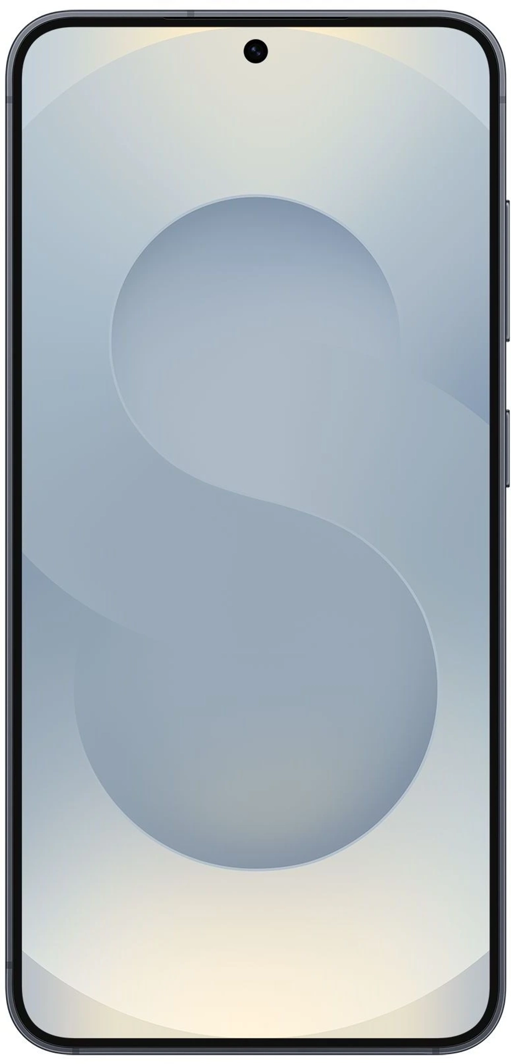 Смартфон Samsung Galaxy S25 12 ГБ + 256 ГБ Чёрный | Blueblack