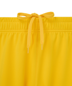 Шорты игровые Jogel DIVISION PerFormDRY Union Shorts, желтый 61