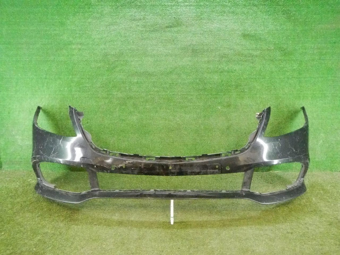 DSCN5519.jpg
