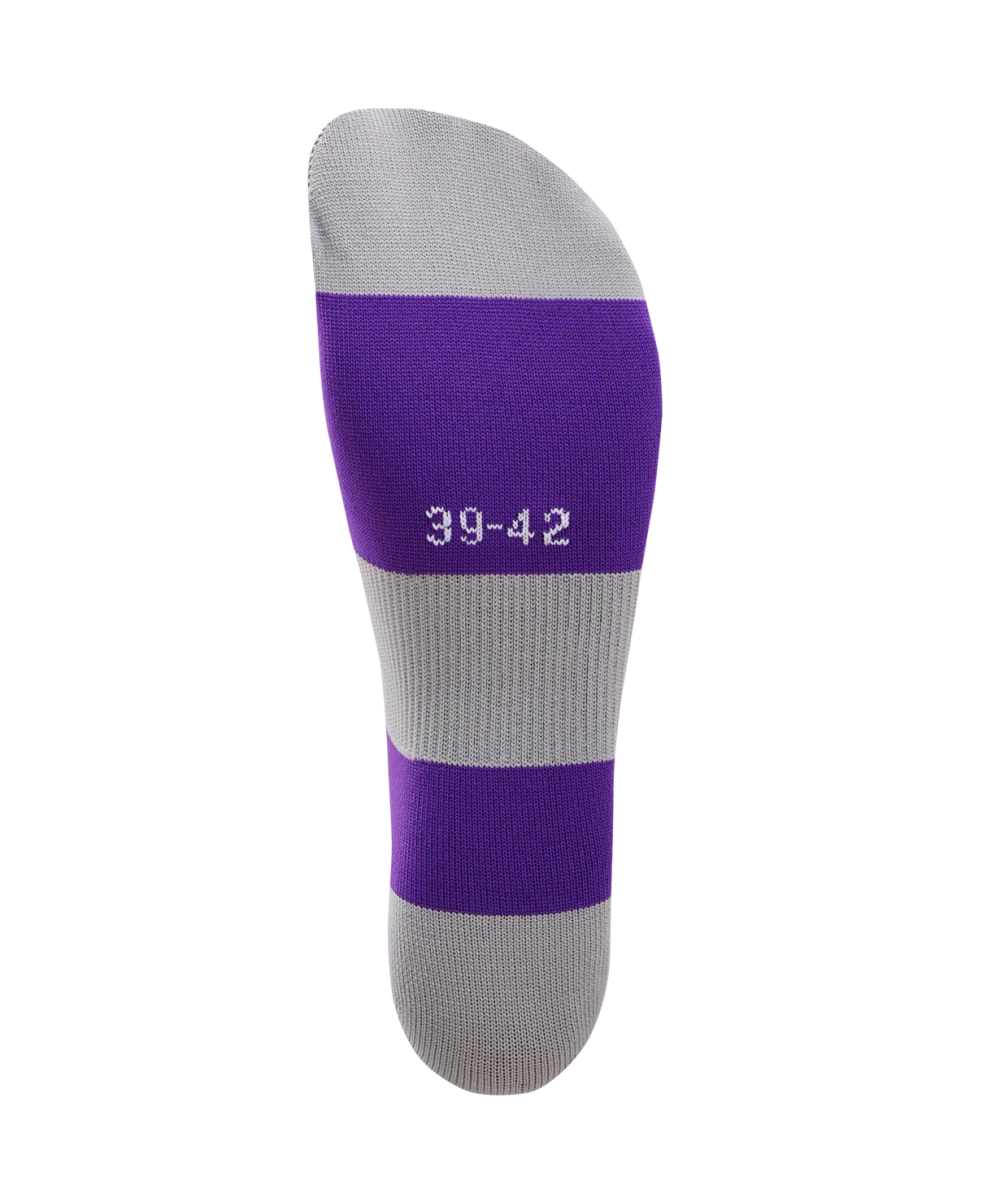 Гетры футбольные CAMP BASIC SOCKS, фиолетовый/серый/белый