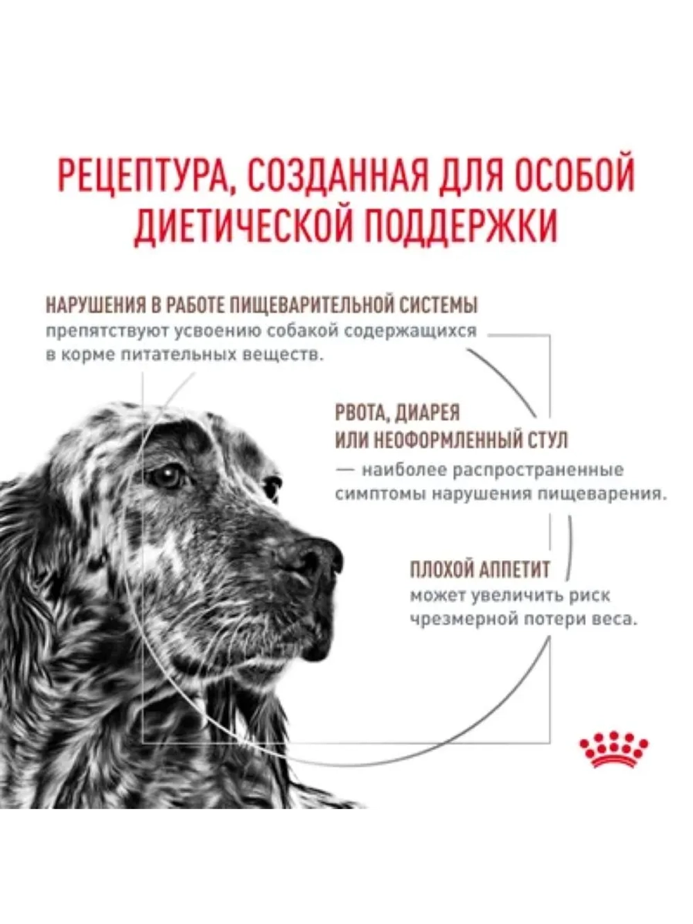 Gastrointestinal 2кг Корм для собак