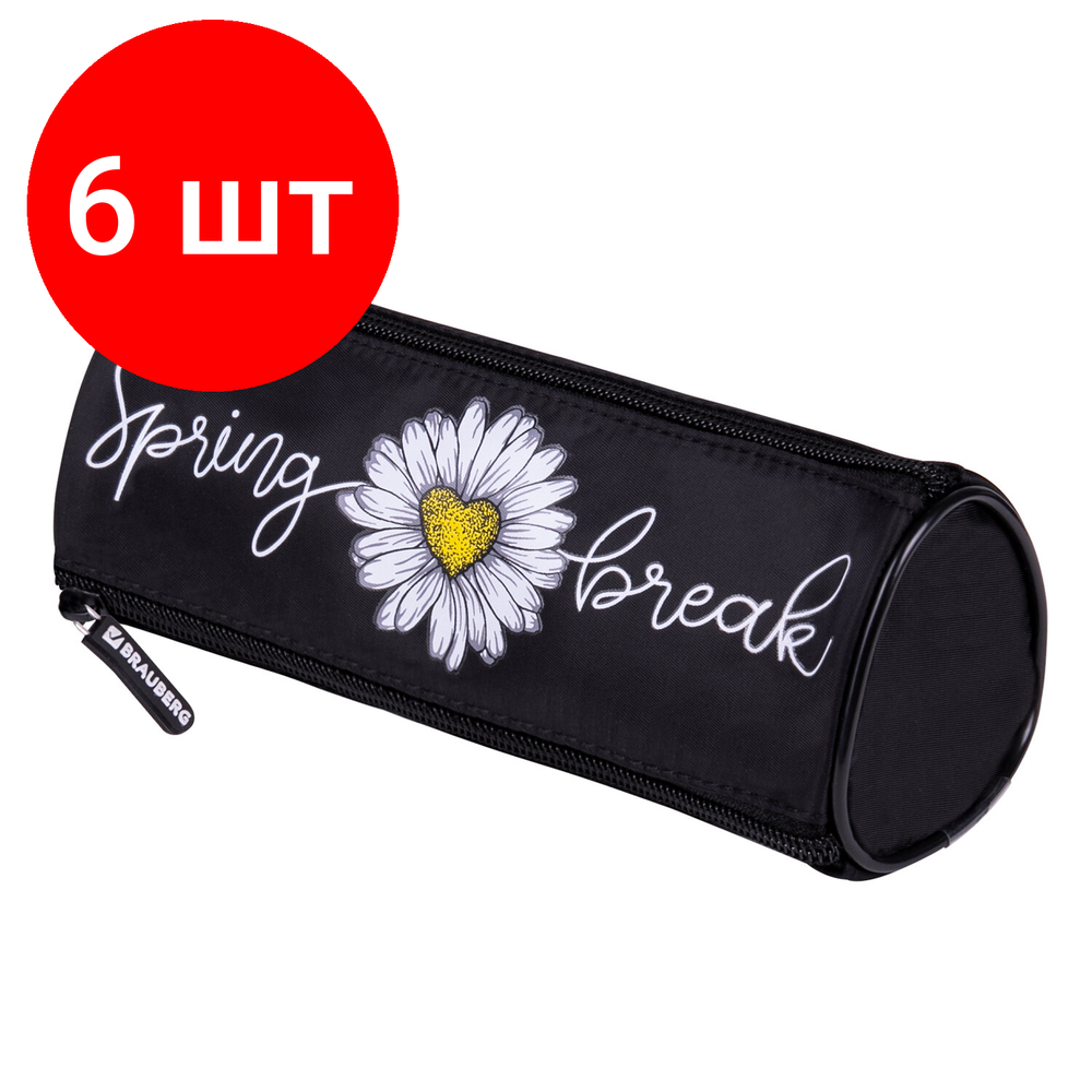 Пенал BRAUBERG, 3 отделения, нейлон, 21х7х7 см, "Spring", 270840
