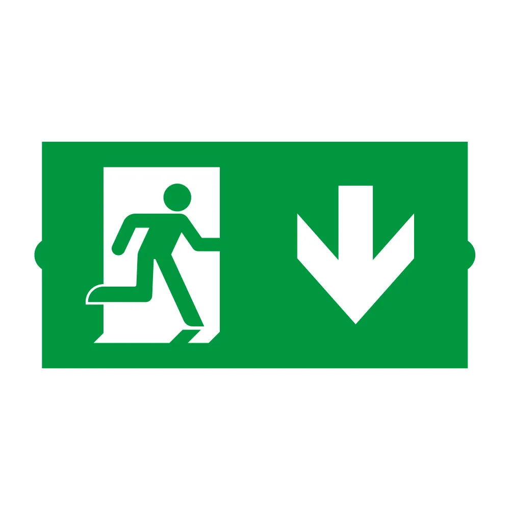 Пиктограмма EMGP-DIRECT-DOWN (Вниз) (Arlight, Пластик) Пиктограмма EMGP-DIRECT-DOWN (Вниз) (Arlight, Пластик)
