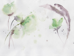 WATERCOLOR 21 27