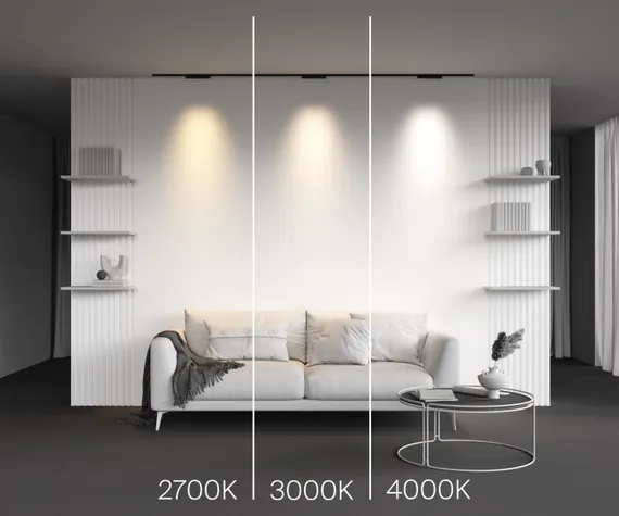 Трековый светильник Points TR193-1-10W4K-M-B Maytoni