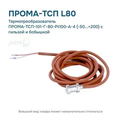 Термопреобразователь ПРОМА-ТСП-101-Г-80-Pt100-А-4 (-50...+200) с гильзой и бобышкой