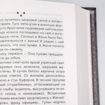 Тени тевтонов | Алексей Иванов