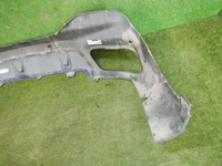 DSCN9229.jpg