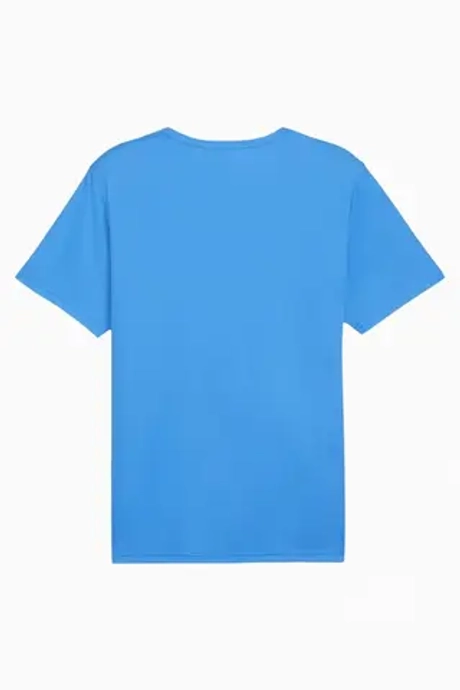 Футболка Puma teamRISE Matchday Junior