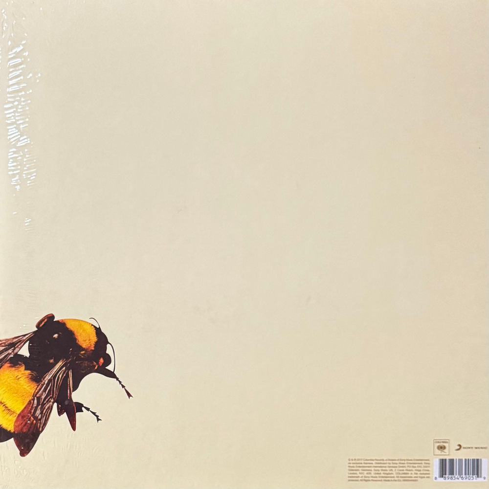 Виниловая пластинка Tyler, The Creator ‎– Scum Fuck Flower Boy 2LP