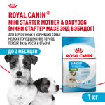 Royal Canin Mini Starter Мини Стартер Корм сухой для собак мелких пород в конце беременности в период лактации для щенков до 2-х месяцев 1кг