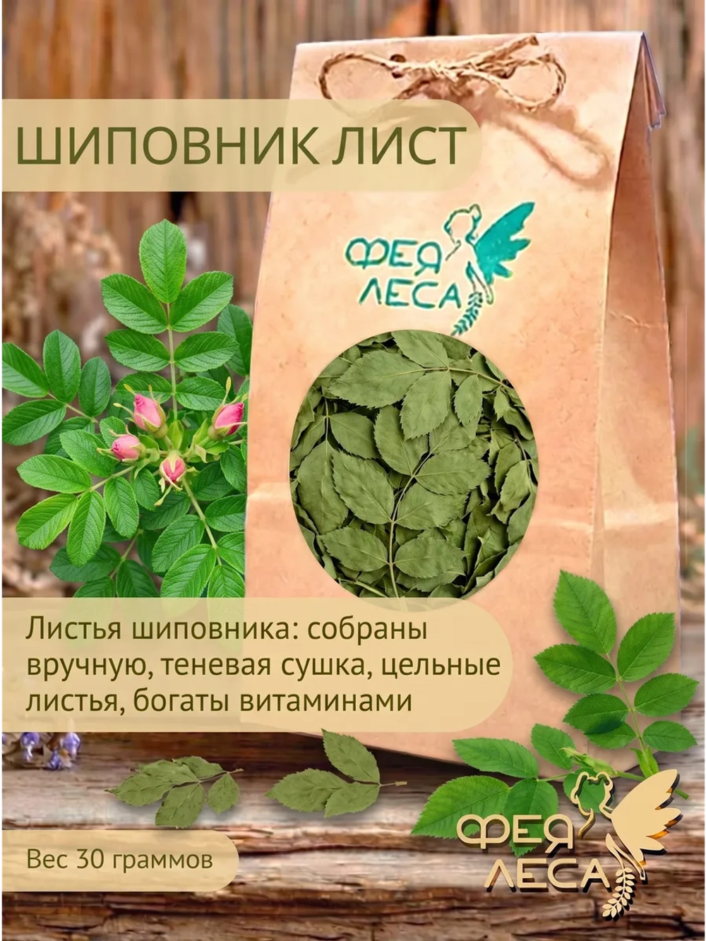 Шиповник лист – для чая, травяных сборов и фитосборов