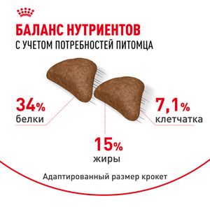 Сухой корм Royal Canin Hairball Care для взрослых кошек, для профилактики образования волосяных комочков