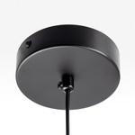 Citilux ORTON CL202041 Подвесной светильник Дымчатый
