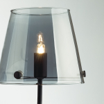 Настенный светильник Lumion SMOKY 6570/1W