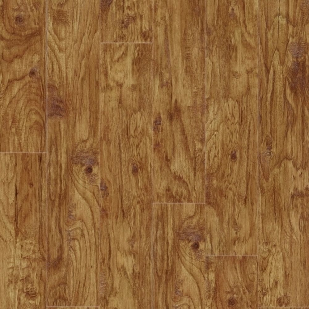 Eastern Hickory 57422