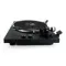 Music Public Kingdom TT62AT Black