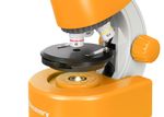 Микроскоп Levenhuk Discovery Micro с книгой, 77954