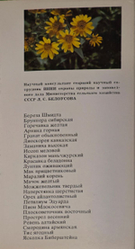 Открытка "Стрелка Васильевского острова"