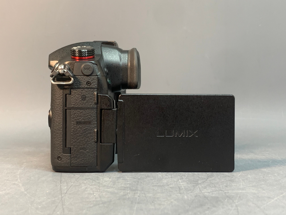 Panasonic Lumix GH5S 4.025 кадров