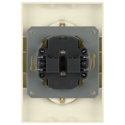 Розетка ЭРА Arktik 16-2107-02 без заземления двойная 2X2P 16А-250В слоновая кость | Эра Arktik
