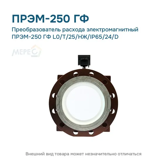 Преобразователь расхода электромагнитный ПРЭМ-250 ГФ L0/T/25/НЖ/IP65/24/D
