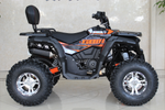Квадроцикл GBM STORMRIDER 220 PREMIUM