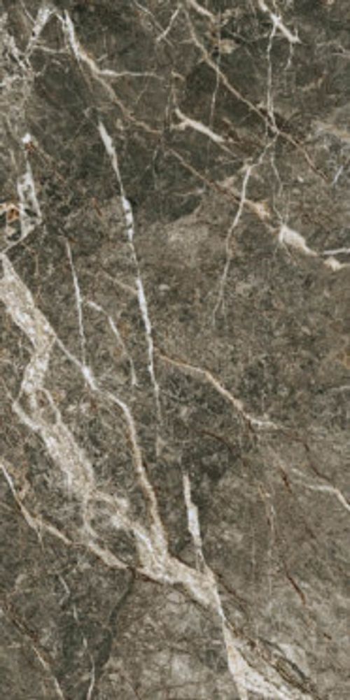 Керамогранит FORTE DEI MARMI QUARK BRECCIA DI CARAVAGGIO Rett (610010002849) Керамогранит FORTE DEI MARMI QUARK BRECCIA DI CARAVAGGIO Rett (610010002849)