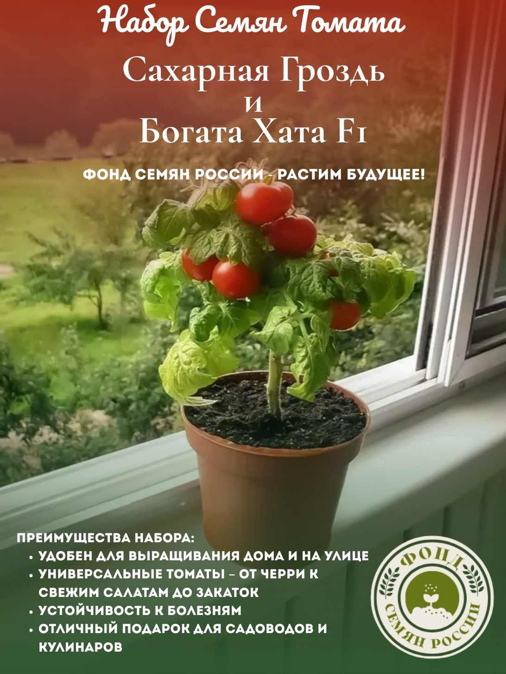 Набор семян томатов для балкона Богата хата, Сахарная гроздь, 2 упаковки по 20 шт.