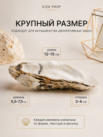 Ракушка устрицы натуральная большая 12-15 см 1 шт, раковина морская для декора интерьера и творчества, подставка для украшений свечей. Товар уцененный