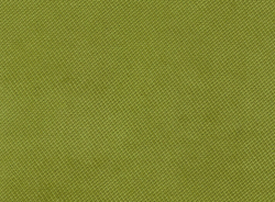 Велюр Verona apple green (Верона эппл грин) 38