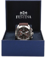 Мужские наручные часы Festina F16665/7