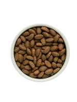 GRANDORF DOG Turkey MAXI (Грандорф Макси) сухой корм для собак крупных пород (индейка ) 10 кг
