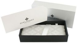 Перьевая ручка Diplomat Excellence A Venezia platin matt chrome F (D20000748) 5