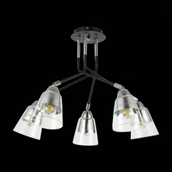 Светильник потолочный Evoluce Lirino SLE102902-05
