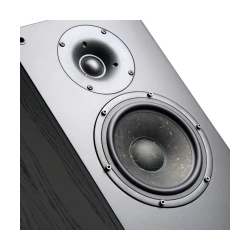 Radiotehnika Gamma 3.03 Black Ash напольная профессиональная акустическая система (пара)