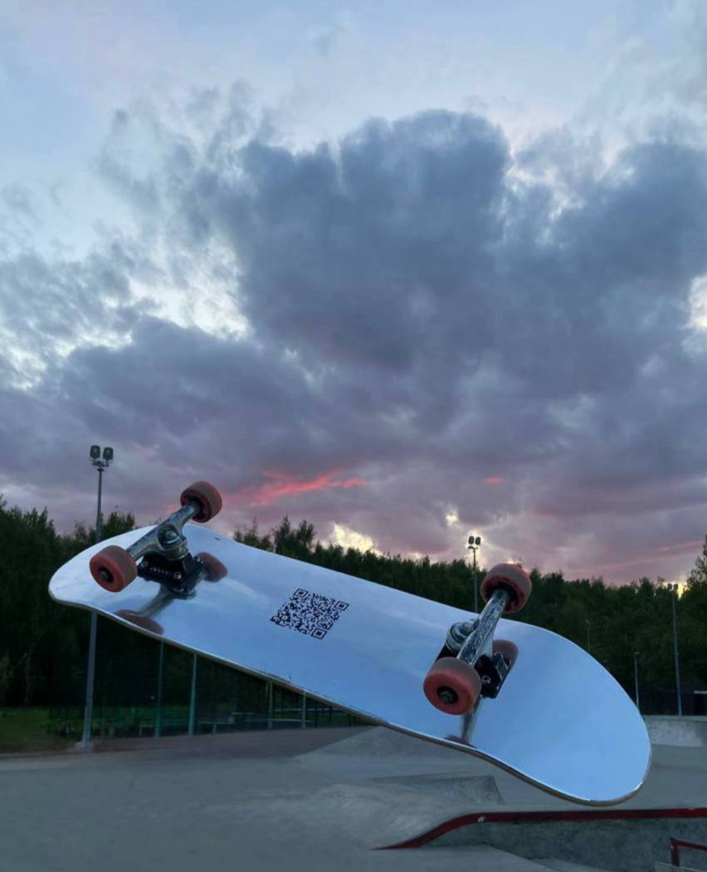 Wild Skate Deck 8.5