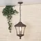 Уличный светильник подвесной Virgo GLXT-1450H капучино Elektrostandard