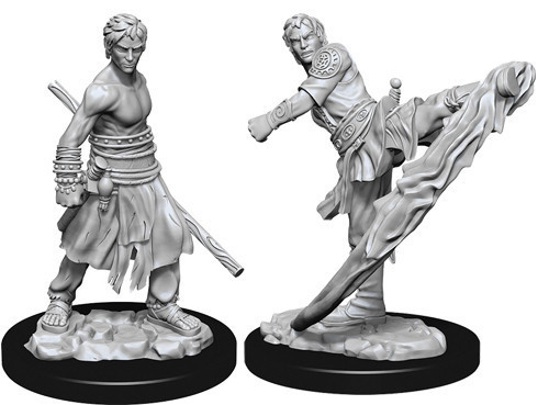 D&D Nolzur's Marvelous Miniatures - Male Half-Elf Monk