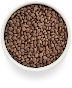 Grandorf GASTROINTESTINAL, Gluten & Grain Free, Veterinary Diet (Turkey)