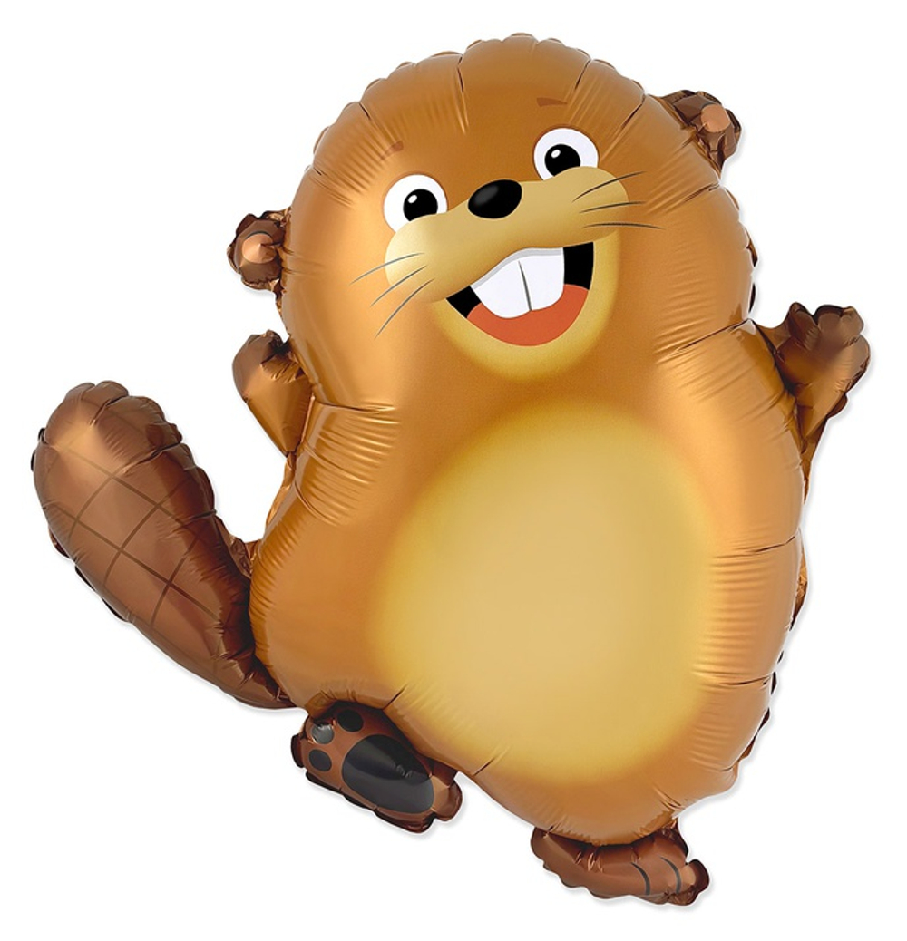 Шар Бобер