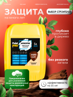 Антисептик универсальный бесцветный PaintPRO 5л