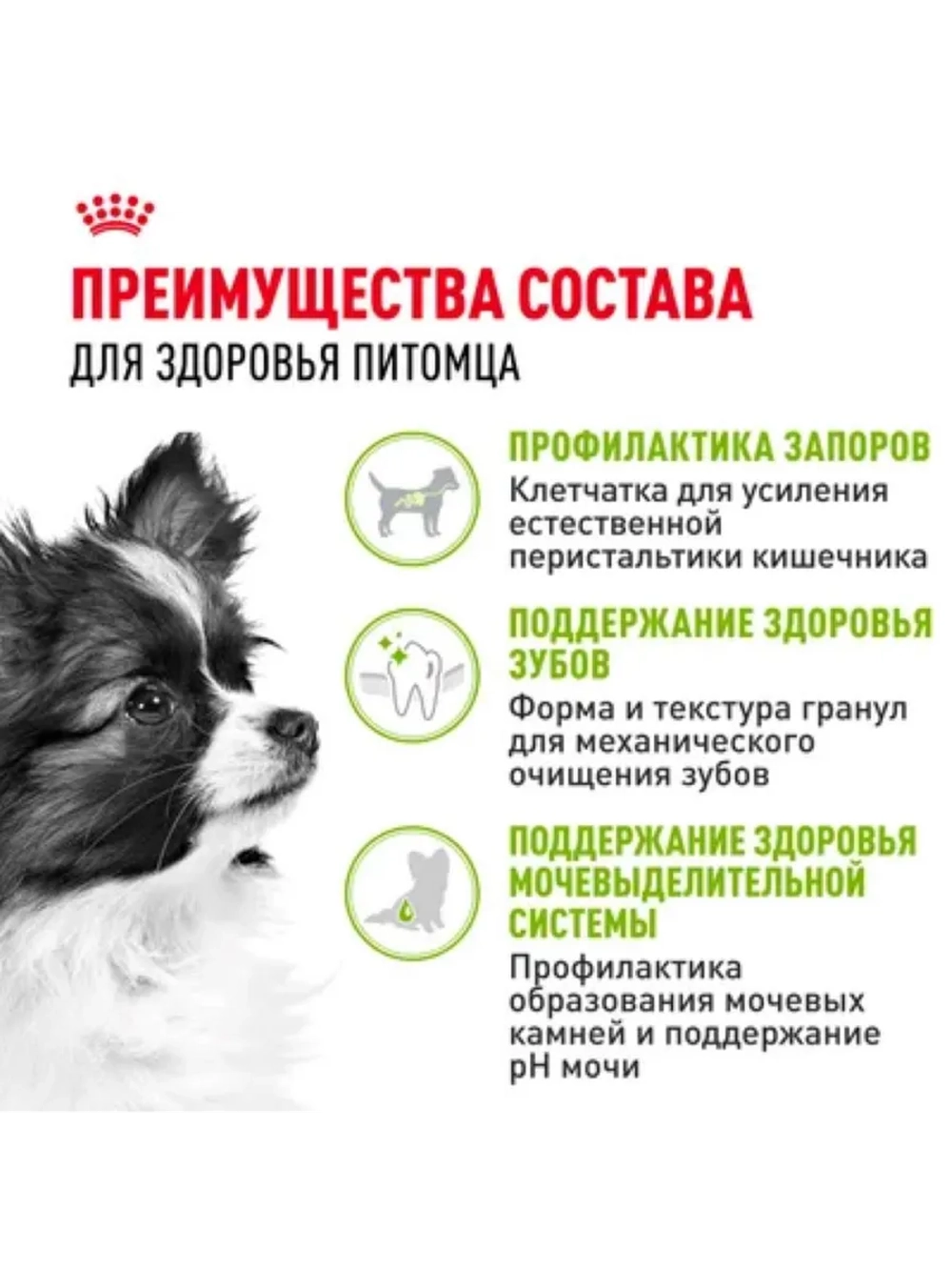 X-Small Adult Корм для собак 3кг
