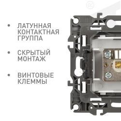 Розетка ЭРА Серия 12 12-3101-16 TV одиночная, титан | Эра 12