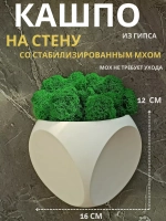Настенное кашпо со мхом