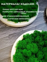 Круглое панно на стену из мха набор 3 шт.
