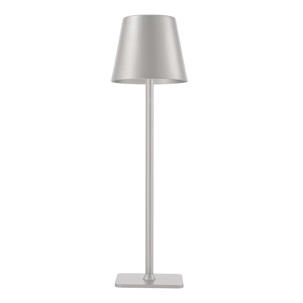 Аккумуляторный светильник F-Promo Pyari 4617-1T
