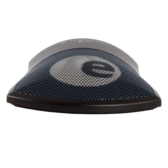 Sennheiser E901